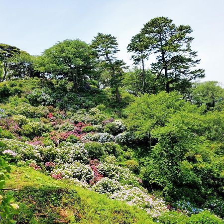 南伊豆町 Ｋａｏｒｕ　Ｉｎｎヴィラ エクステリア 写真