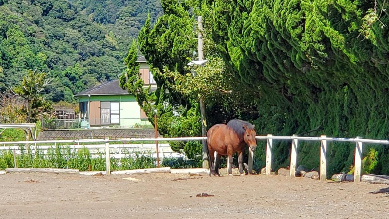 南伊豆町 Ｋａｏｒｕ　Ｉｎｎヴィラ エクステリア 写真