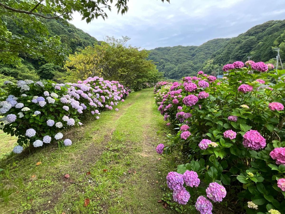 南伊豆町 Ｋａｏｒｕ　Ｉｎｎヴィラ エクステリア 写真