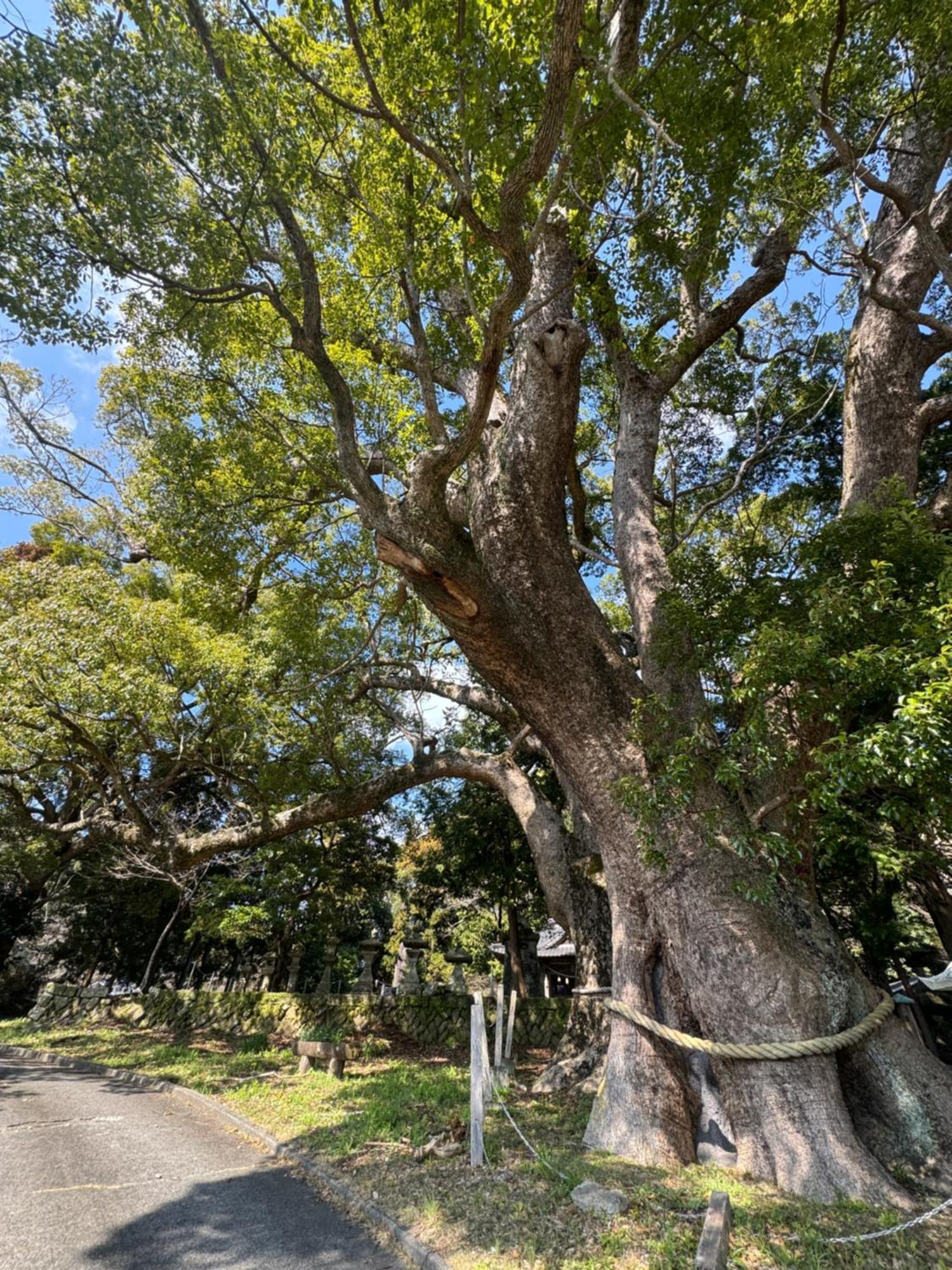 南伊豆町 Ｋａｏｒｕ　Ｉｎｎヴィラ エクステリア 写真